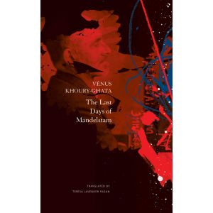 The Last Days of Mandelstam (Hardcover - 2020)