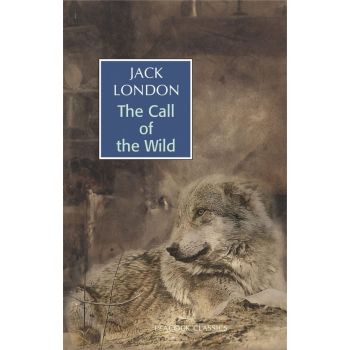 The Call of the Wind (Paperback-2023)